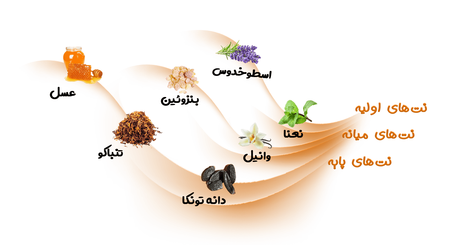 نتهای عطر مردانه ژان پل گوتیه ل میل الکسیر