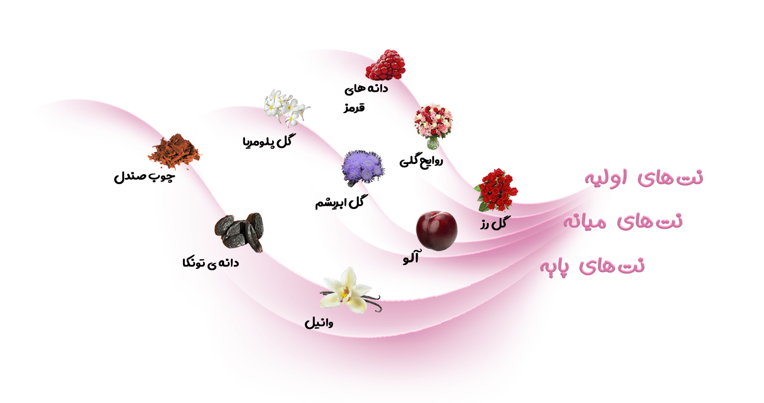نت های عطر زنانه پارفومز د مارلی کاسیلی
