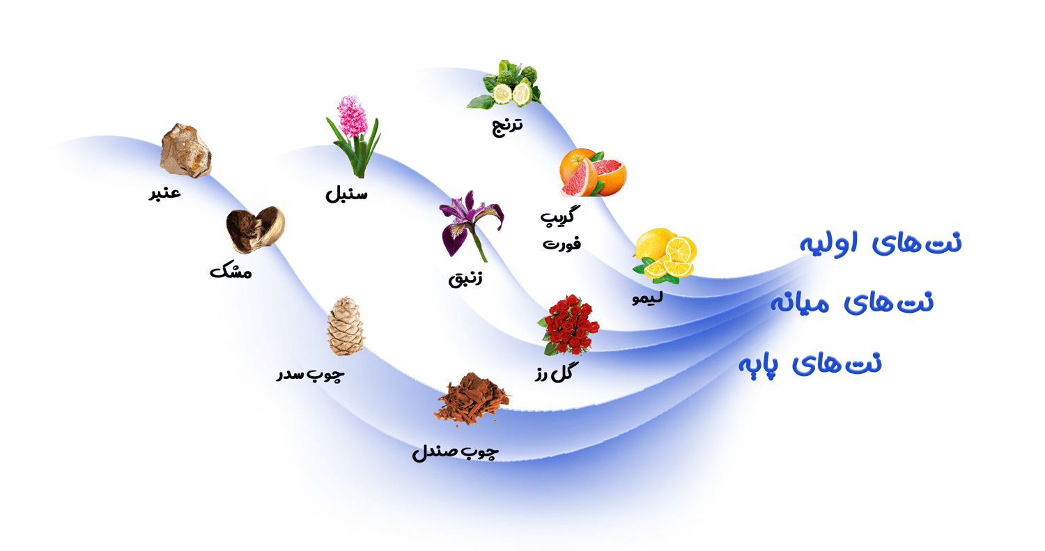 کتونی مردانه زرجوف کازاموراتی مفیستو