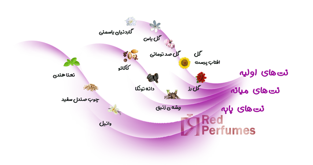 نت های عطر آمواج لیلاک لاو