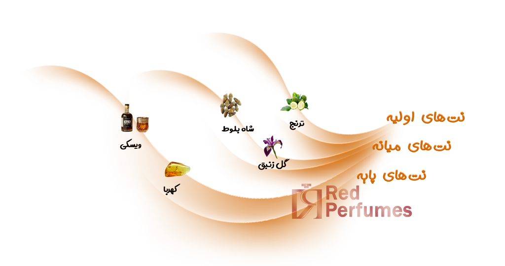نت های عطر ژیوانشی ریزرو پرایو